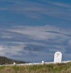 GRAVE MARKER - GREENSPOND