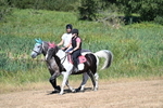 WJ7_7739