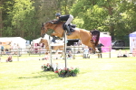 SBM_08162