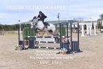 BPP_1566