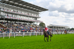 230824-Race 4-Bradsell-9047