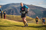 Sale Fell-461