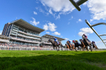 240824-Race 5-Elmonjed-4610