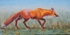 Fox on the Move
