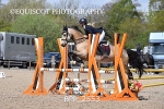 BPP_2553