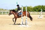 SBM_007133