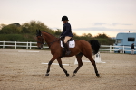 SBM_000290
