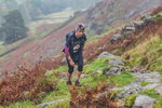 Langdale-737