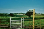 30th July 2007