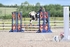 BPP_2712