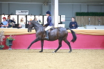 SBM_06227