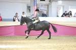 SBM_07178
