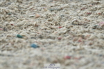 230708A-140958-03381