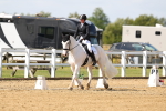 SBM_011918