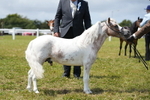 DSC06611
