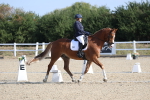 SBM_020216