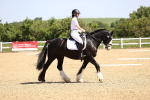 SBM_008245
