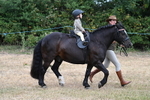 WJ7_9686