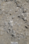 250823A-122734-28835