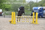 CLASS 30 SUN Senior Newcomers/ 1.10m Open portfolio