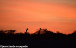 Sunset at Okaukuejo
