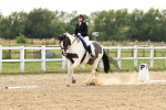 SBM_001059