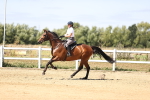 SBM_008021
