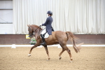 SBM_004377