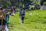 The Finish-1503