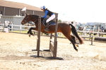 SBM_002364