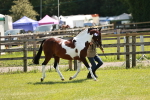 SBM_05441