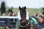 Edgecote Races 13/04/25 portfolio