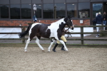 SBM_008029