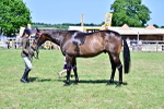 SBM_18237