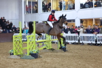 SBM_004732