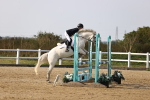 SBM_03530