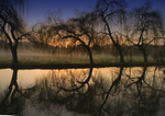River dawn 2