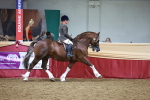 SBM_18829