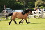 SBM_00864