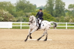 SBM_005931