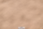 260730-152047-02261