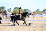 SBM_07802