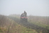WJ6_7008