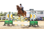 SBM_003036