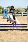 SBM_007309