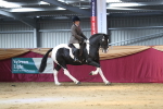 SBM_02919