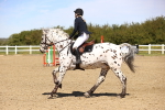 SBM_001534