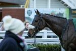 010124-Race 6-Abbeyhill-4556