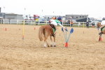 SBM_004366