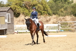 SBM_003009